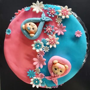 Baby Gender Reveal