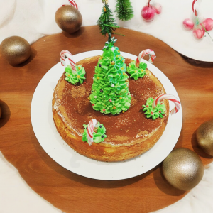 Christmas Themed Cheese Cake
