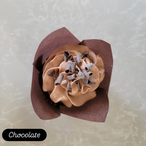 Chocolate Cupcake